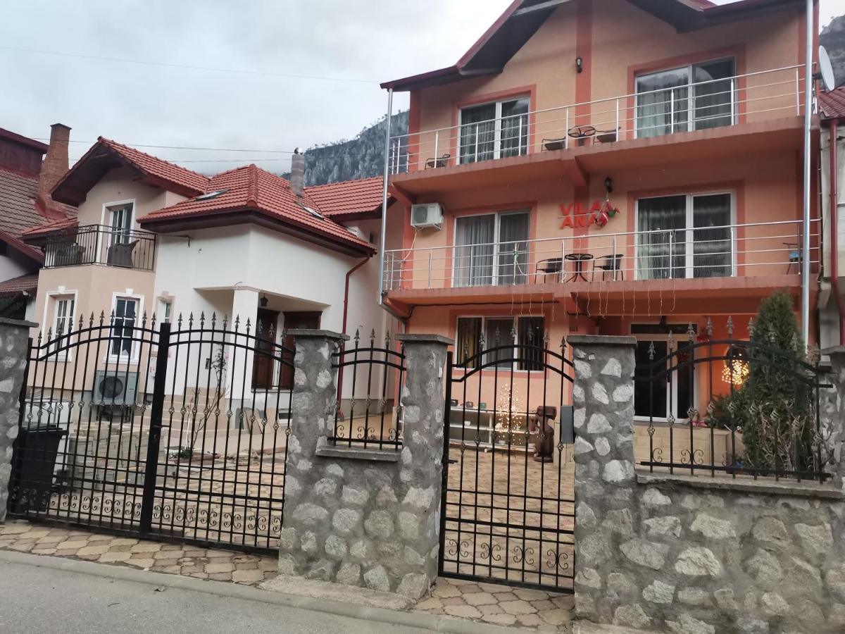 Vila Ana Baile Herculane Bagian luar foto