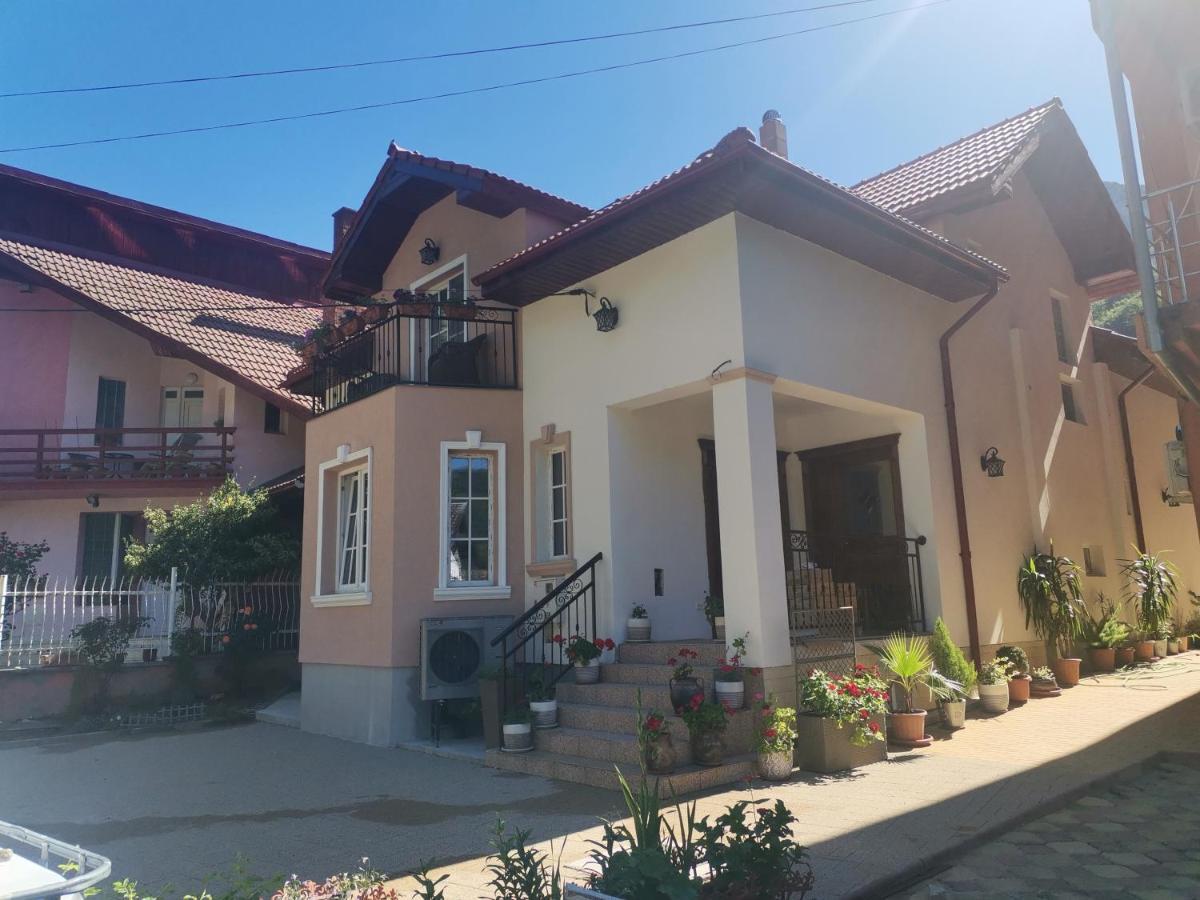 Vila Ana Baile Herculane Bagian luar foto