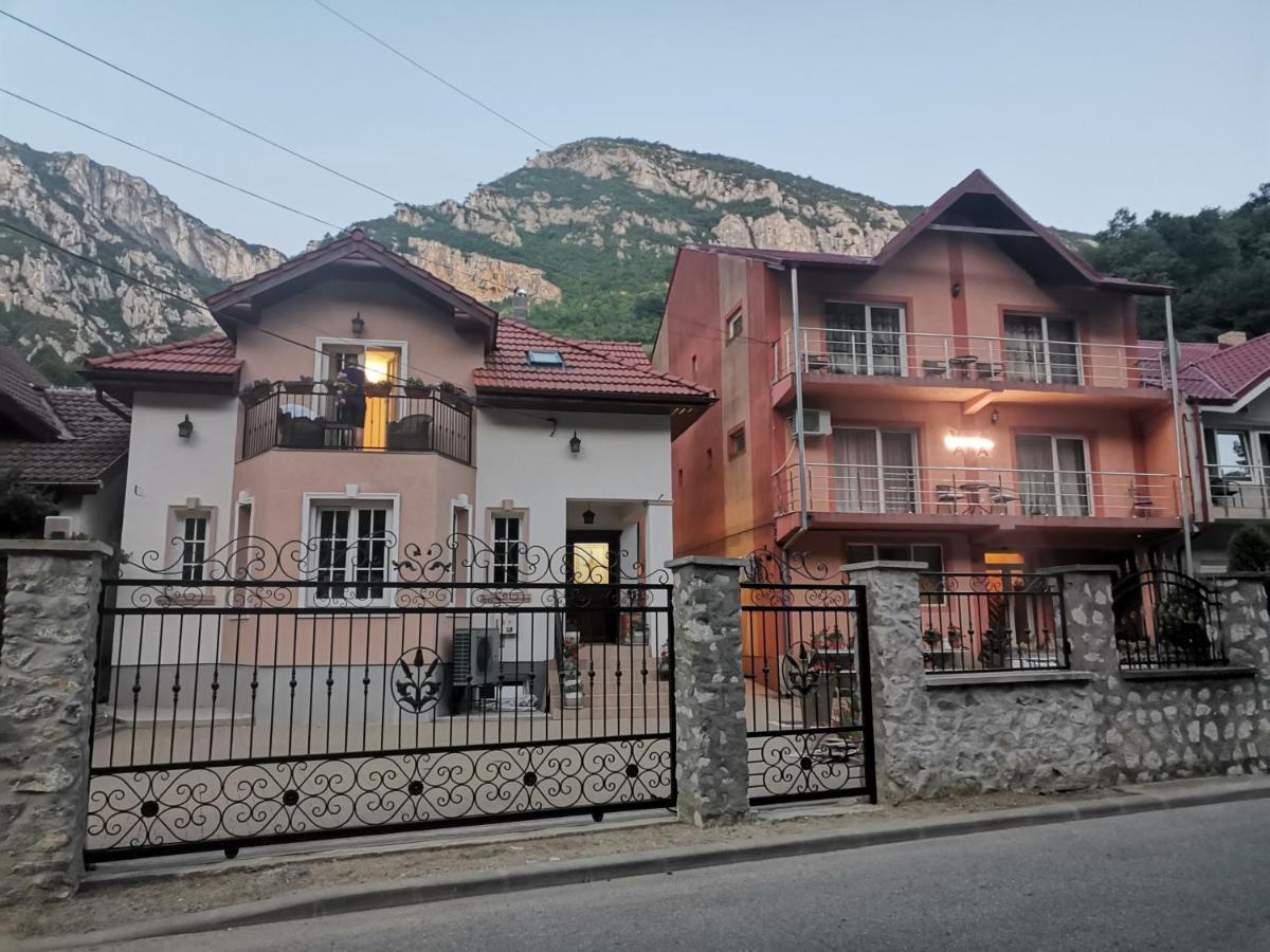 Vila Ana Baile Herculane Bagian luar foto